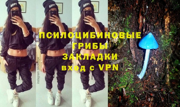 дмт Алзамай