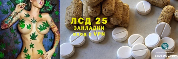 spice Алексеевка