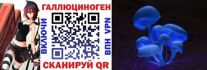 omg онион  хочу   Железногорск-Илимский  Псилоцибиновые грибы Cubensis 